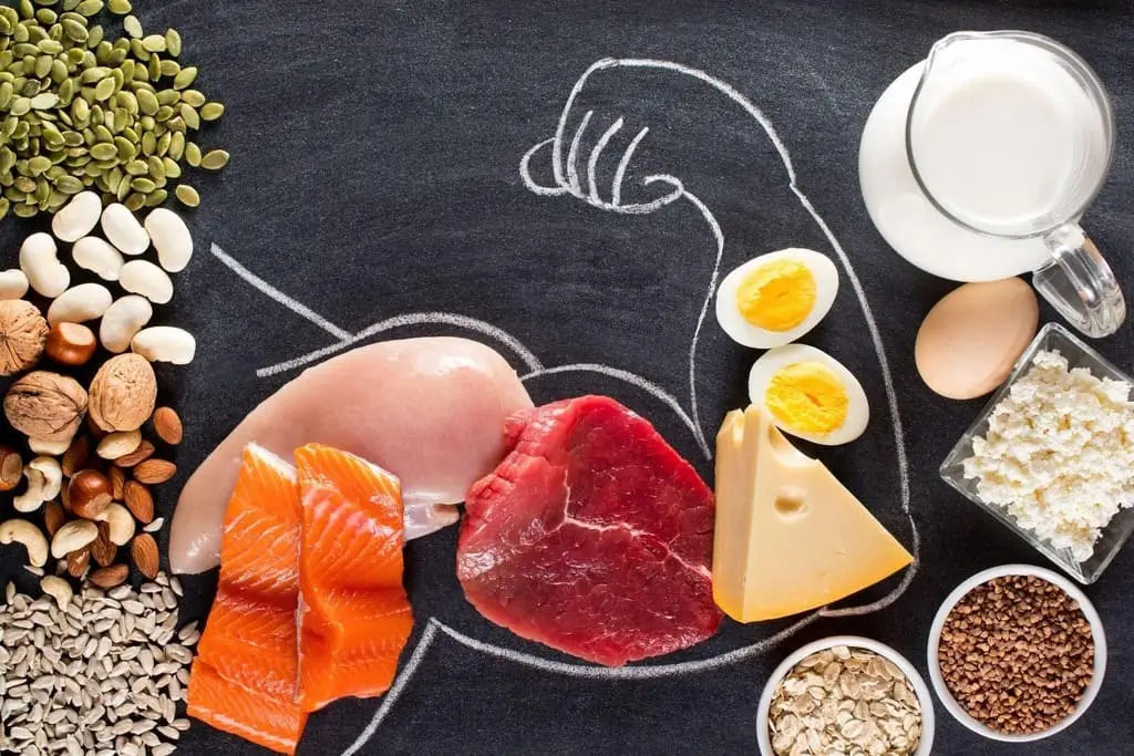 какие продукты повышают белок в организме
